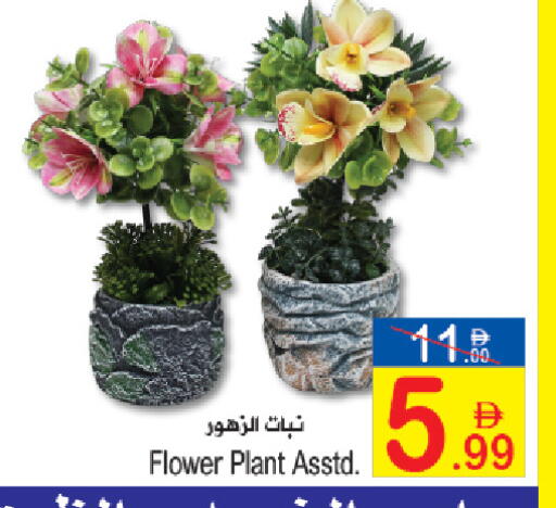 available at سن اند ساند هايبر ماركت ذ.م.م in الإمارات العربية المتحدة , الامارات - رَأْس ٱلْخَيْمَة