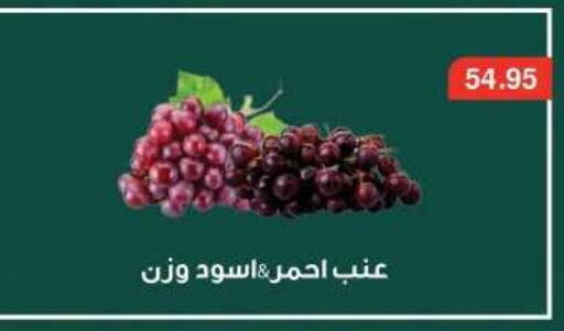 available at Dlina Market in Egypt - Cairo