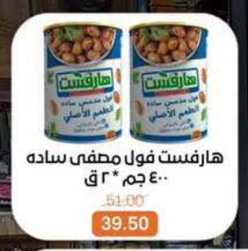 available at Beit El Gomla in Egypt - Cairo