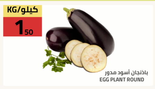 available at أسواق أسترا in مملكة العربية السعودية, السعودية, سعودية - تبوك