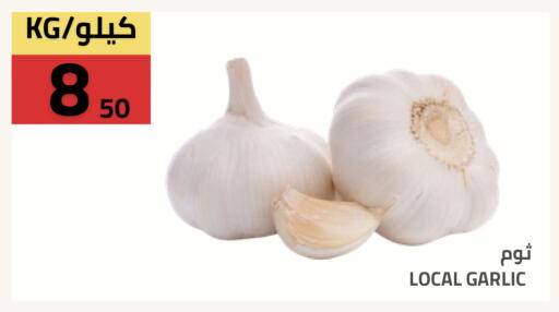 Garlic available at أسواق أسترا in مملكة العربية السعودية, السعودية, سعودية - تبوك