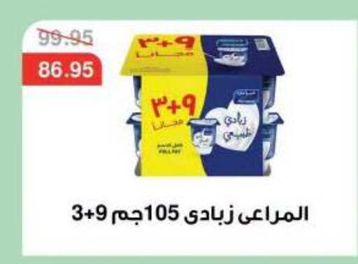 available at Dlina Market in Egypt - Cairo