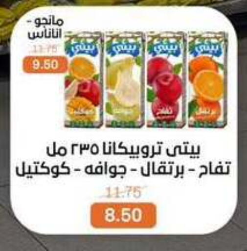 available at Beit El Gomla in Egypt - Cairo