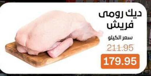available at بيت الجملة in Egypt - القاهرة