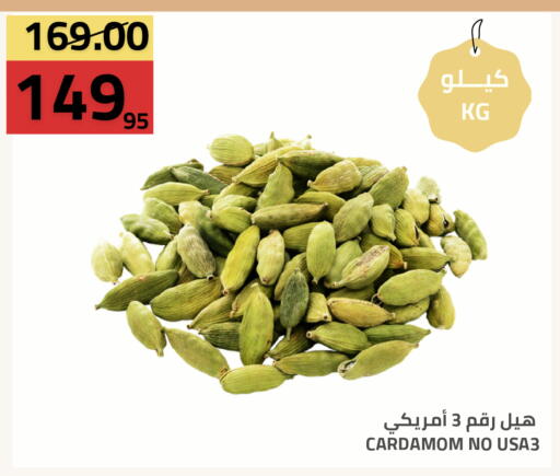 Cardamom available at أسواق أسترا in مملكة العربية السعودية, السعودية, سعودية - تبوك