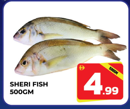 available at دريم لاند in الإمارات العربية المتحدة , الامارات - الشارقة / عجمان