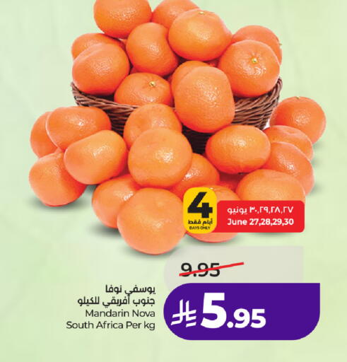 Mandarin from South Africa available at لولو هايبرماركت in مملكة العربية السعودية, السعودية, سعودية - الطائف