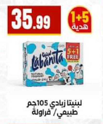 available at El Mahlawy Stores in Egypt - Cairo