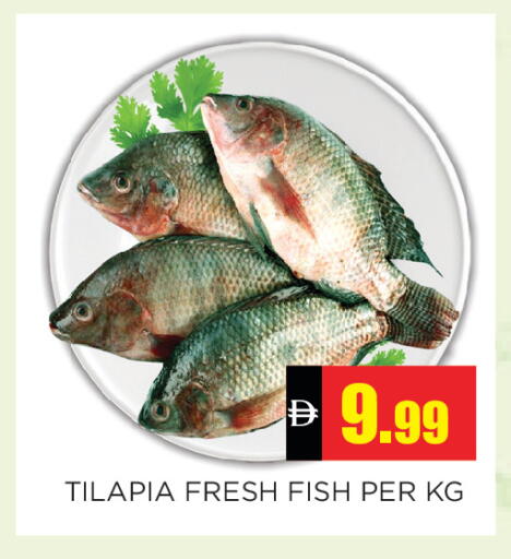 available at Ain Al Madina Hypermarket in UAE - Sharjah / Ajman