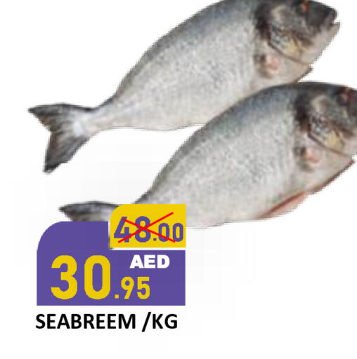 available at رويال جلف هايبرماركت in الإمارات العربية المتحدة , الامارات - أبو ظبي