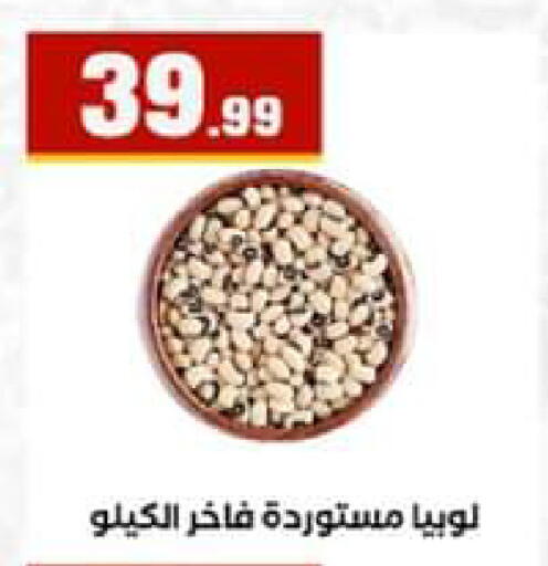 available at El Mahlawy Stores in Egypt - Cairo