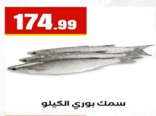 available at El Mahlawy Stores in Egypt - Cairo