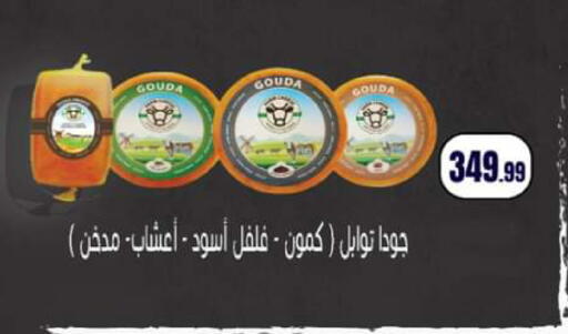 available at El Mahlawy Stores in Egypt - Cairo