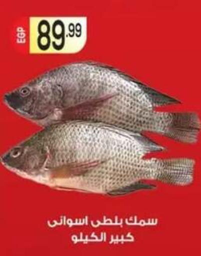 available at أولاد المحاوى in Egypt - القاهرة