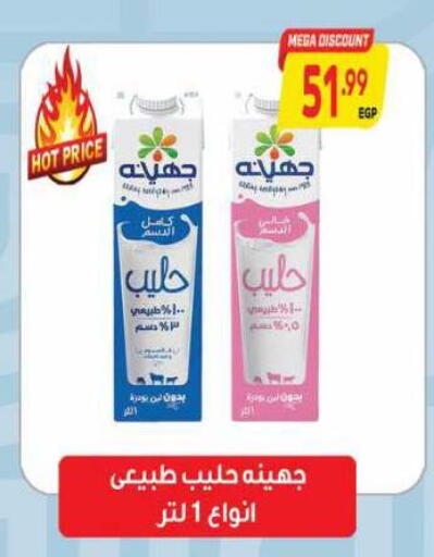 available at New.Penny.market in Egypt - Cairo