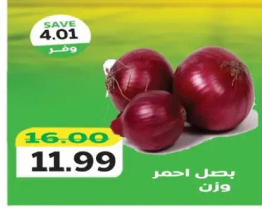available at The Mart  in Egypt - Cairo