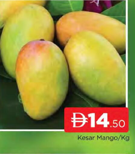 Mango available at المدينة in الإمارات العربية المتحدة , الامارات - دبي