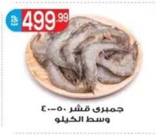 available at أولاد المحاوى in Egypt - القاهرة