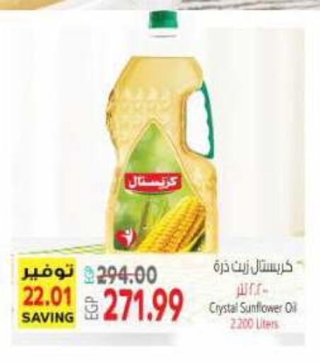 available at New.Penny.market in Egypt - Cairo