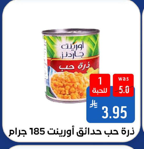 available at شبرا الطائف in مملكة العربية السعودية, السعودية, سعودية - الطائف