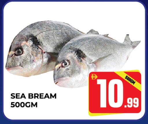 available at دريم لاند in الإمارات العربية المتحدة , الامارات - الشارقة / عجمان
