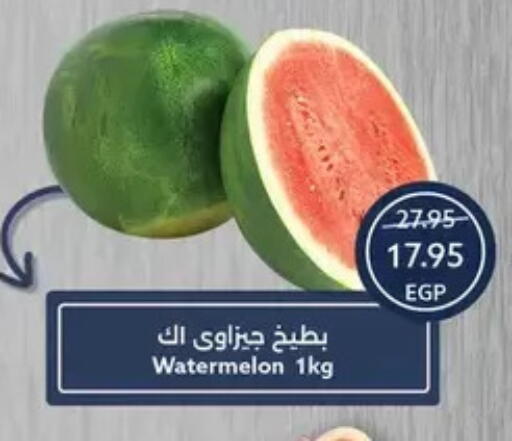 Watermelon available at  أوسكار جراند ستورز  in Egypt - القاهرة