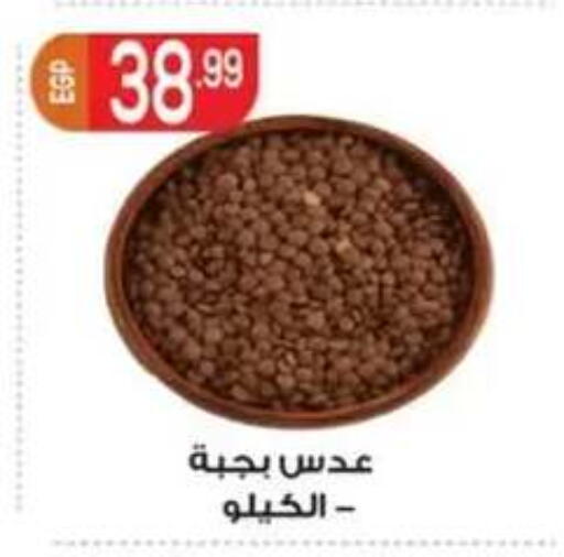 available at أولاد المحاوى in Egypt - القاهرة