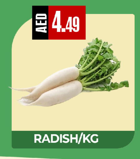 Radish available at  RIVIERA SUPERMARKET L.L.C in UAE - Abu Dhabi