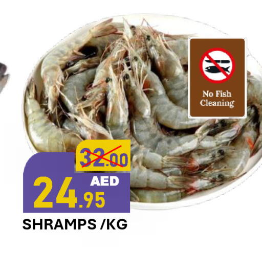 available at رويال جلف هايبرماركت in الإمارات العربية المتحدة , الامارات - أبو ظبي