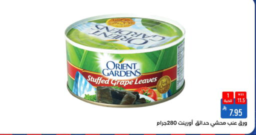available at شبرا الطائف in مملكة العربية السعودية, السعودية, سعودية - الطائف