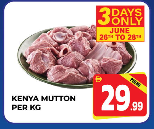 available at دريم لاند in الإمارات العربية المتحدة , الامارات - الشارقة / عجمان