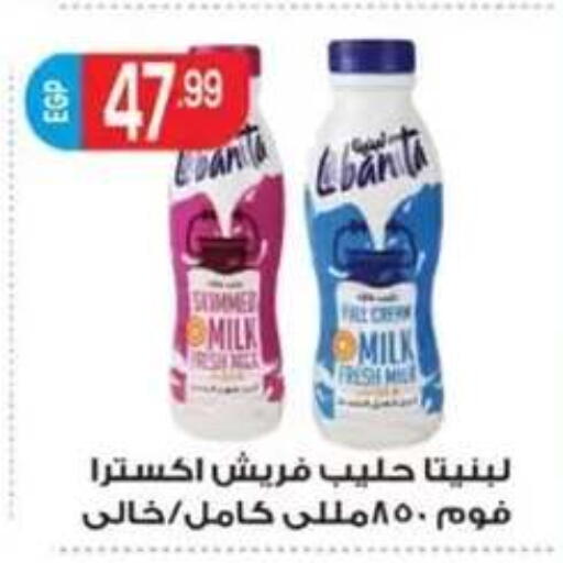 available at أولاد المحاوى in Egypt - القاهرة