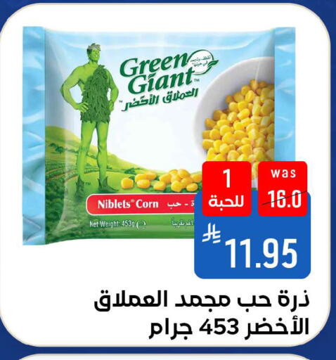 available at شبرا الطائف in مملكة العربية السعودية, السعودية, سعودية - الطائف