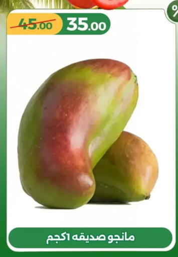 available at Green Tree Hypermarket - Sohag in Egypt - Cairo