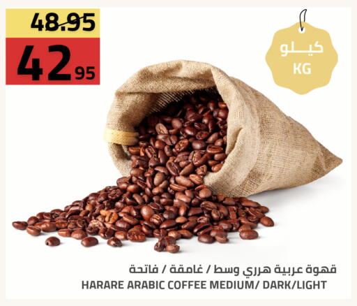 available at أسواق أسترا in مملكة العربية السعودية, السعودية, سعودية - تبوك