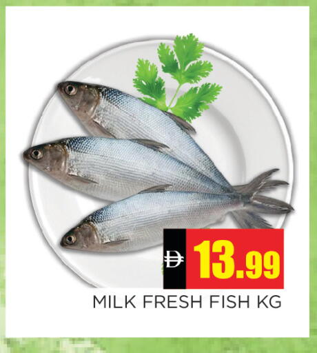 available at Ain Al Madina Hypermarket in UAE - Sharjah / Ajman