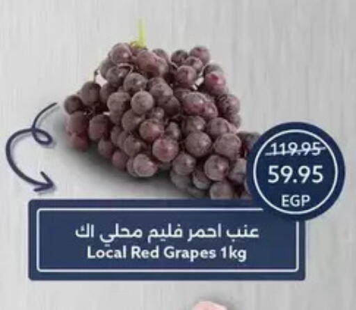 Grapes available at  أوسكار جراند ستورز  in Egypt - القاهرة