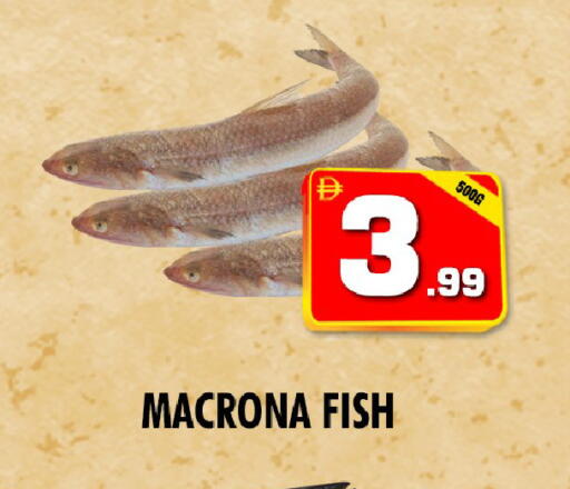 available at NIGHT TO NIGHT DEPARTMENT STORE in UAE - Sharjah / Ajman