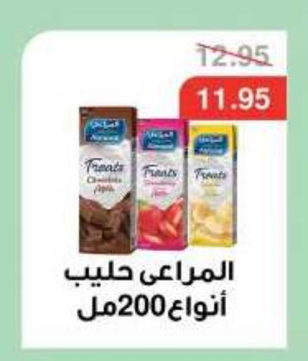 available at Dlina Market in Egypt - Cairo