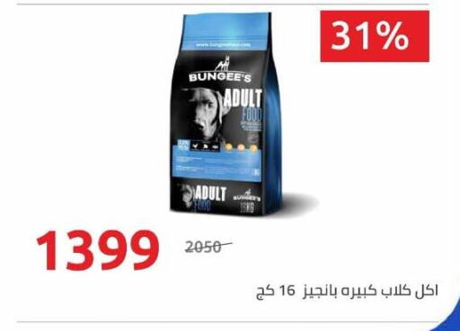 available at هايبر وان in Egypt - القاهرة