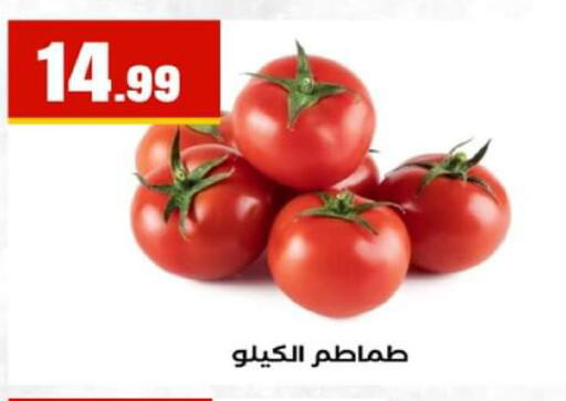 available at El Mahlawy Stores in Egypt - Cairo