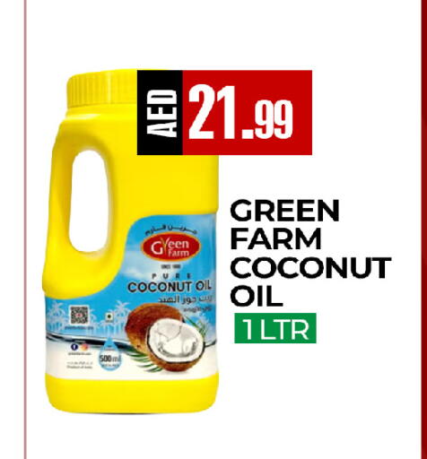 Coconut available at  RIVIERA SUPERMARKET L.L.C in UAE - Abu Dhabi