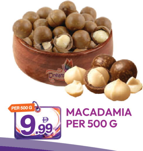 available at Dream Land in UAE - Dubai
