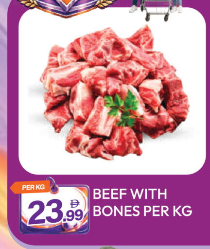 available at دريم لاند in الإمارات العربية المتحدة , الامارات - دبي