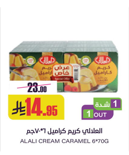 available at Sapt in KSA, Saudi Arabia, Saudi - Buraidah