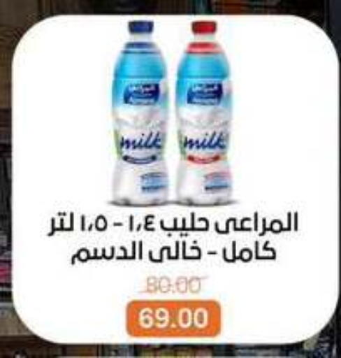 available at Beit El Gomla in Egypt - Cairo