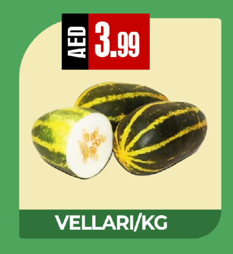 available at  RIVIERA SUPERMARKET L.L.C in UAE - Abu Dhabi