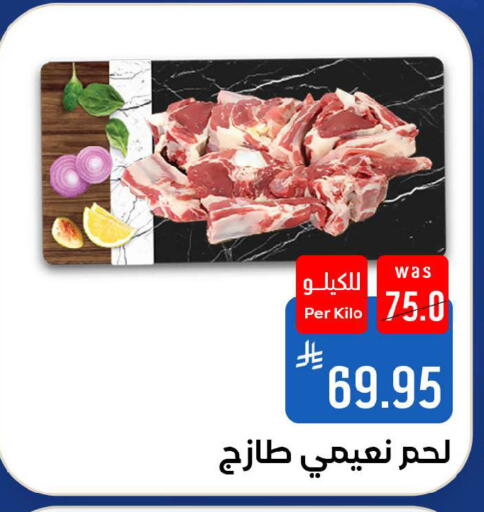 available at شبرا الطائف in مملكة العربية السعودية, السعودية, سعودية - الطائف