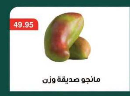 available at Dlina Market in Egypt - Cairo
