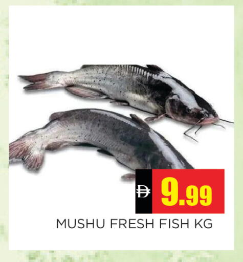 available at Ain Al Madina Hypermarket in UAE - Sharjah / Ajman